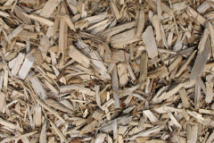 biomass boilers Dalintart