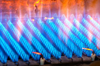 Dalintart gas fired boilers